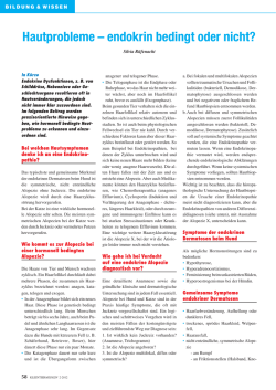 Hautprobleme &ndash; Endokrin bedingt oder nicht