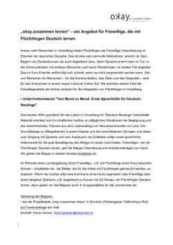 Info-Blatt_Freiwillige_Deutsch Kopie