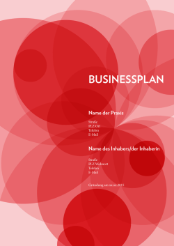 Businessplan-Vorlage des Autors