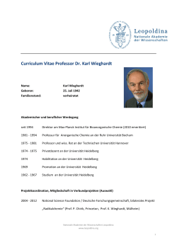 Curriculum Vitae Professor Dr. Karl Wieghardt