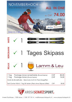 1 Tages Skipass 1 1