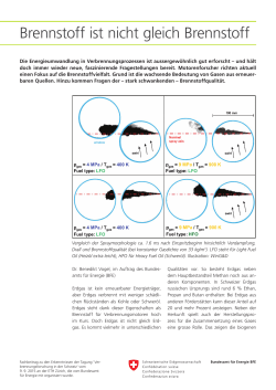 Brennstoff ist nicht gleich Brennstoff