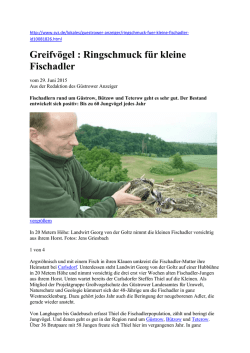 Greifv&ouml;gel : Ringschmuck f&uuml;r kleine Fischadler