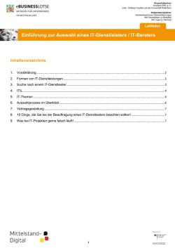 Einführung zur Auswahl eines IT-Dienstleisters / IT