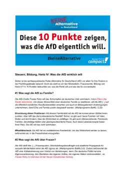 Steuern, Bildung, Hartz IV: Was die AfD wirklich will