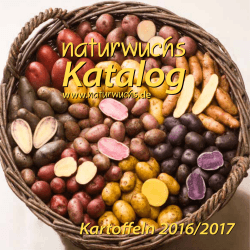 Kartoffeln 2016/2017 - Gärtnerei Naturwuchs