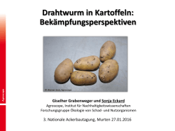 Drahtwurm in Kartoffeln: Bek&auml;mpfungsperspektiven - PAG-CH