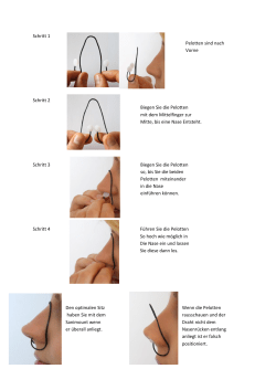 Merkblatt Anwendung Sanimount