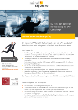 Du willst den perfekten Berufseinstieg ins SAP Consulting?
