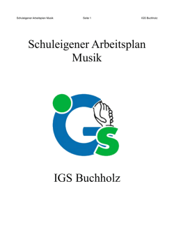 Schuleigener Arbeitsplan Musik IGS Buchholz