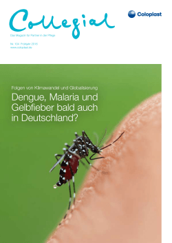 Dengue, Malaria und Gelbfieber bald auch in Deutschland?