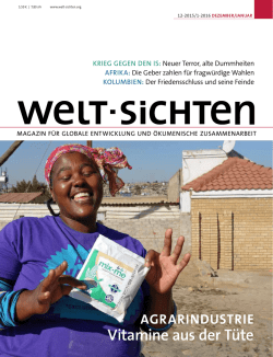 welt-sichten 12-2015/1-2016, Januar/Dezember