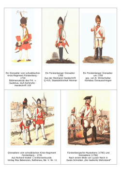 Ein Grenadier vom schw&auml;bischen Kreis