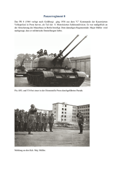 Panzerregiment 8 - Denk-MAL