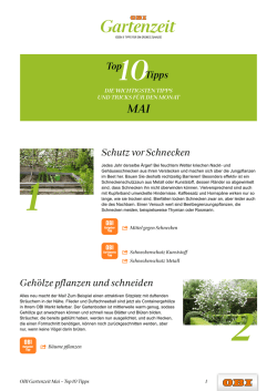 Schutz vor Schnecken Gehölze pflanzen und schneiden Top10