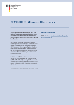 PRAXISHILFE: Abbau von Überstunden - BMWi