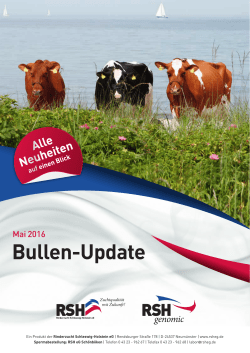 Bullen-Update - Rinderzucht Schleswig