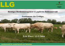 Richtiges Herdenmanagement & geglückte Bullenauswahl