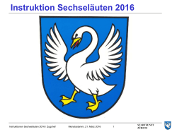 Instruktion Sechseläuten 2016