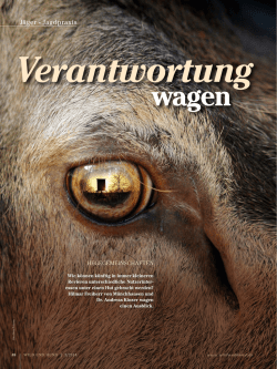 headline wagen