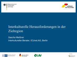 Interkulturelle Herausforderungen in der Zielregion, Sascha Mei&szlig;ner