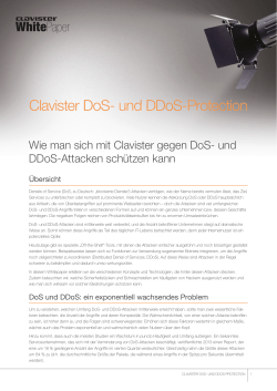 Clavister DoS- und DDoS