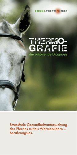 Thermografie für Ihr Pferd