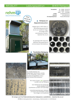 INFOBLATT - Leistungsspektrum - BHKW Reinigung