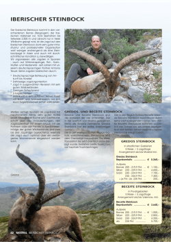 iberischer steinbock