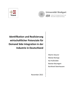 Identifikation und Realisierung von wirtschaftlichen Potenzialen für