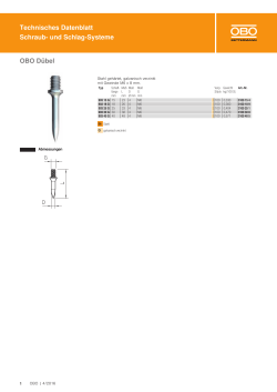 Technisches Datenblatt Schraub- und Schlag