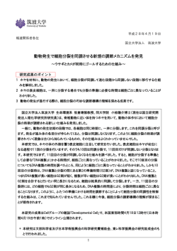 動物発生で細胞分裂を同調させる新規の調節メカニズムを発見