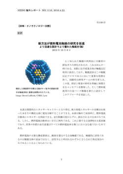 1116-1 新方法が燃料電池触媒の研究を促進(独)