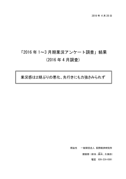2016年1-3月期調査(PDF文書)