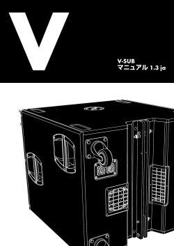 V-SUB Manual 1.2 - D&B Audiotechnik