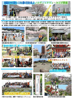 相模国分寺跡の歴史と相模川三川公園の芝桜を楽しむNW(4月10日