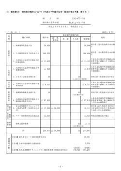 議案概要（補正予算）