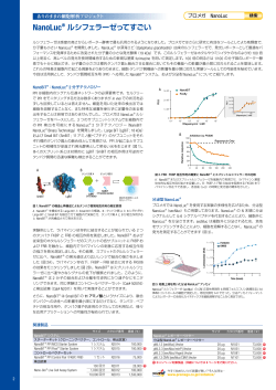 NanoLuc&reg; ルシフェラーゼってすごい