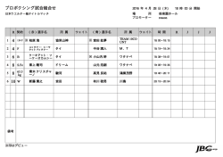 JAPAN BOXING COMMISSION