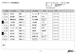 JAPAN BOXING COMMISSION