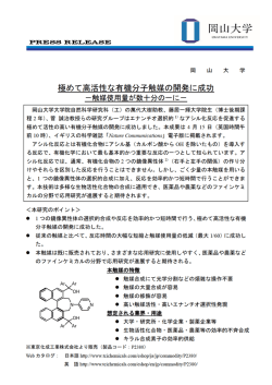極めて高活性な有機分子触媒の開発に成功