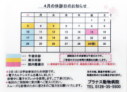 詳しい休診情報はこちら