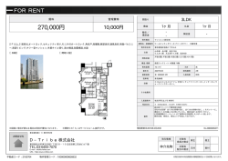 資料PDF - D-tribe ディートライブ株式会社