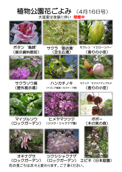 植物公園花ごよみ （4月16日号）