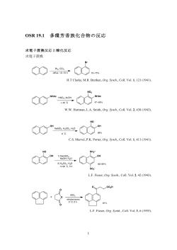 OSR 19.1 多環芳香族化合物の反応