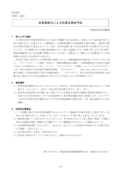 PDFファイル