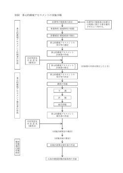 別図 多元的環境アセスメントの実施手順