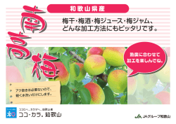 梅干・梅酒・梅ジュース・梅ジャム、 どんな加工方法にもピッタリです。