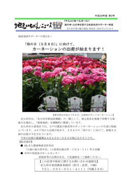 カーネーションの出荷が始まります！