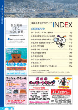 I N DEX